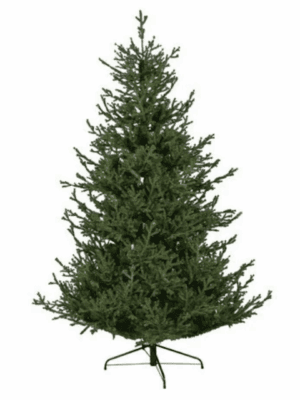EMERALD - 210 cm